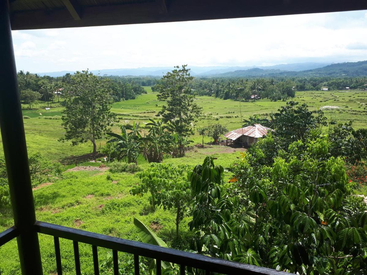 Villa Del Carmen Haven Bohol Exterior foto