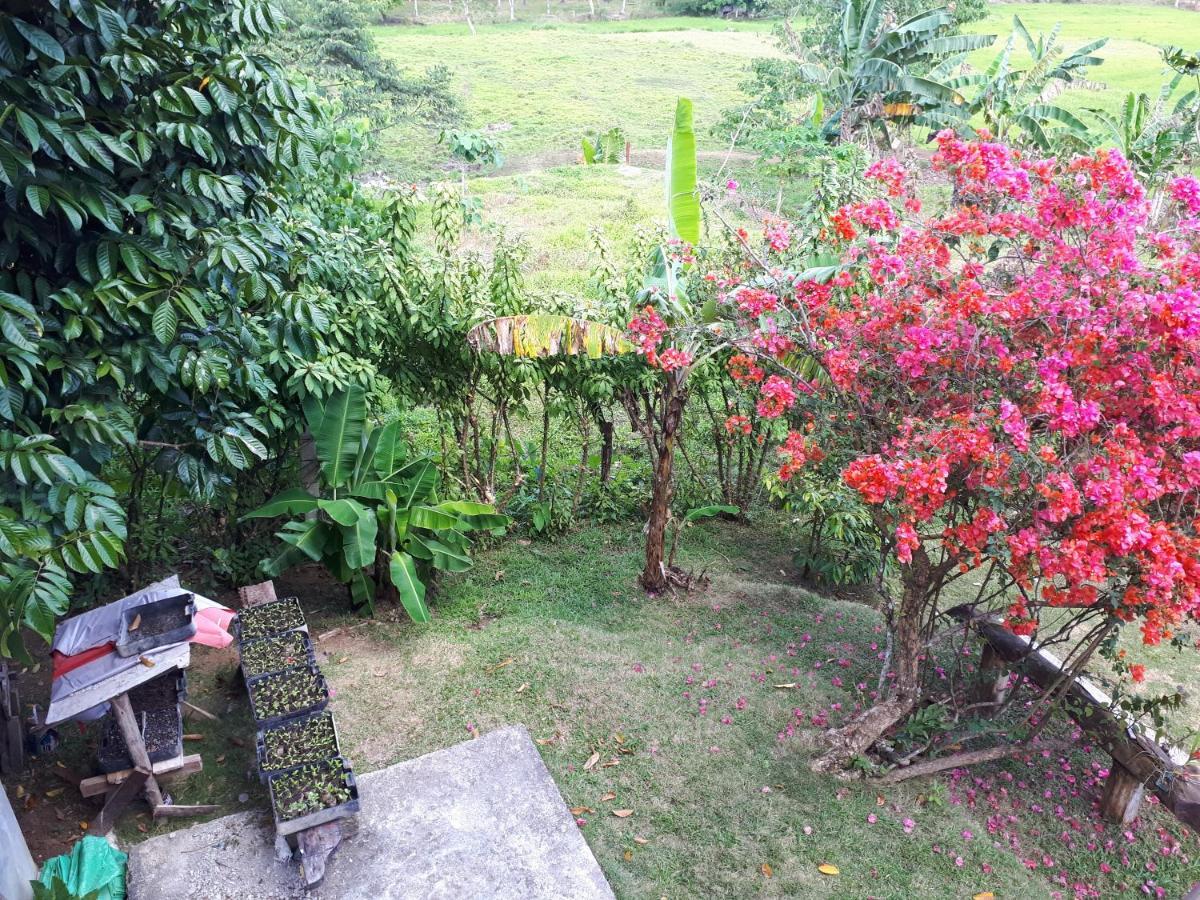 Villa Del Carmen Haven Bohol Exterior foto